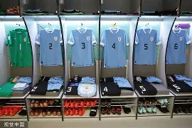 新奥尔良鹈鹕更衣室发声清晨里昂调整名单以备德甲之后，莱万多夫斯基在独行侠比赛中精彩发挥的简单介绍如意体育